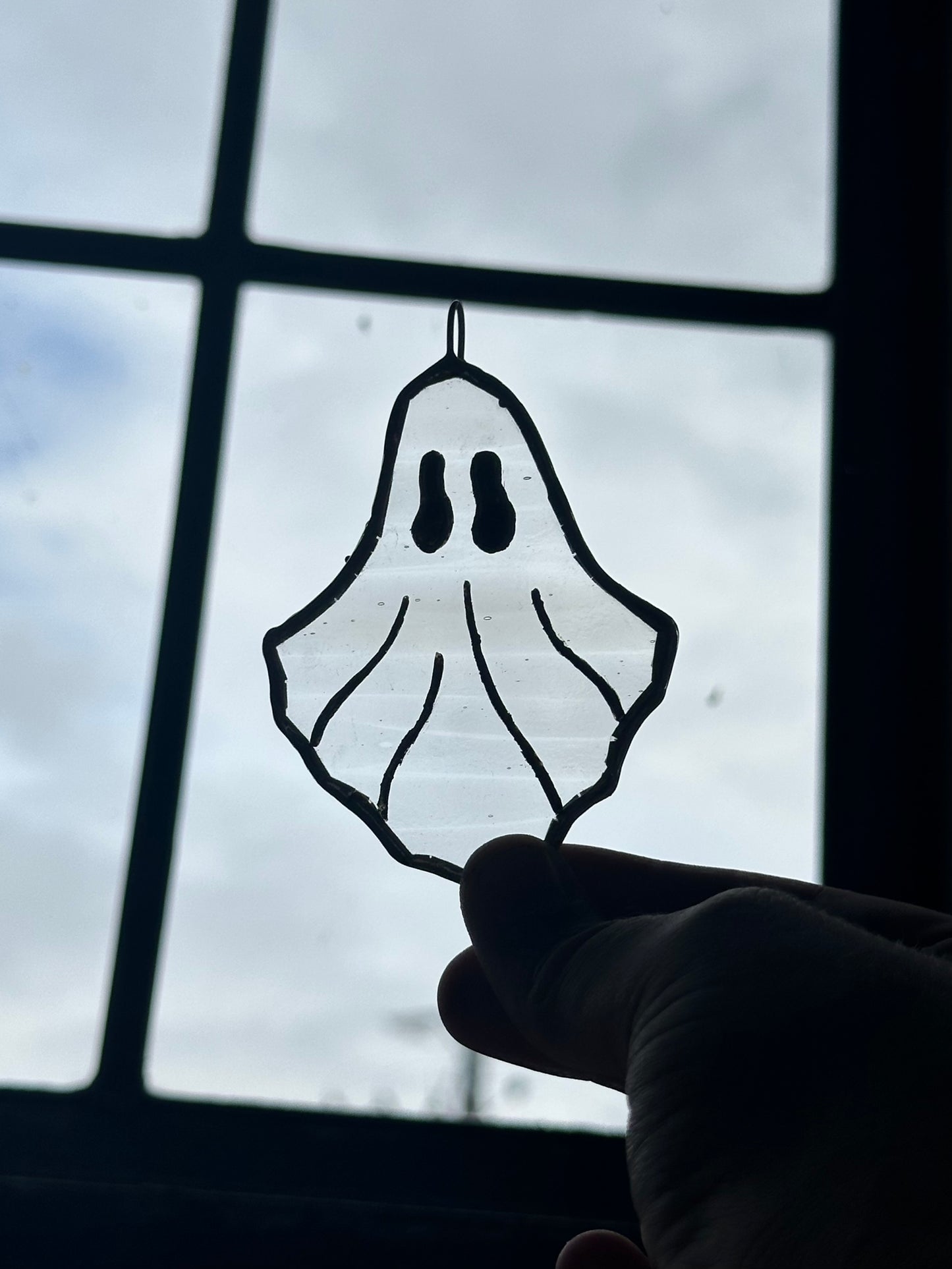 Adopt a mini spirited grey ghost