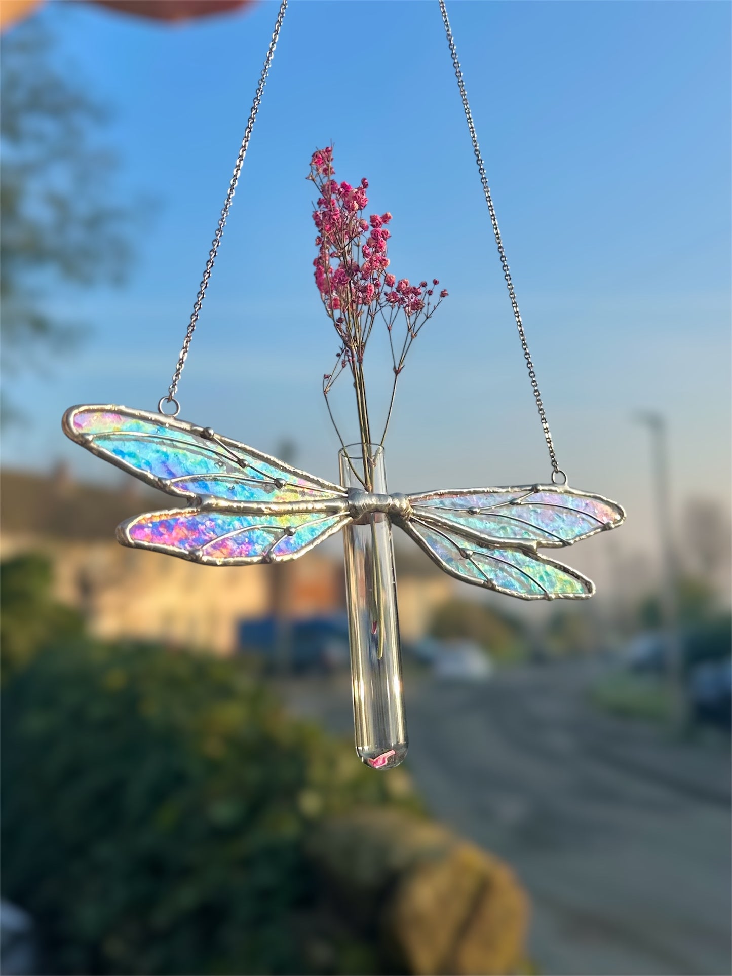 Dragonfly Propagation Suncatcher
