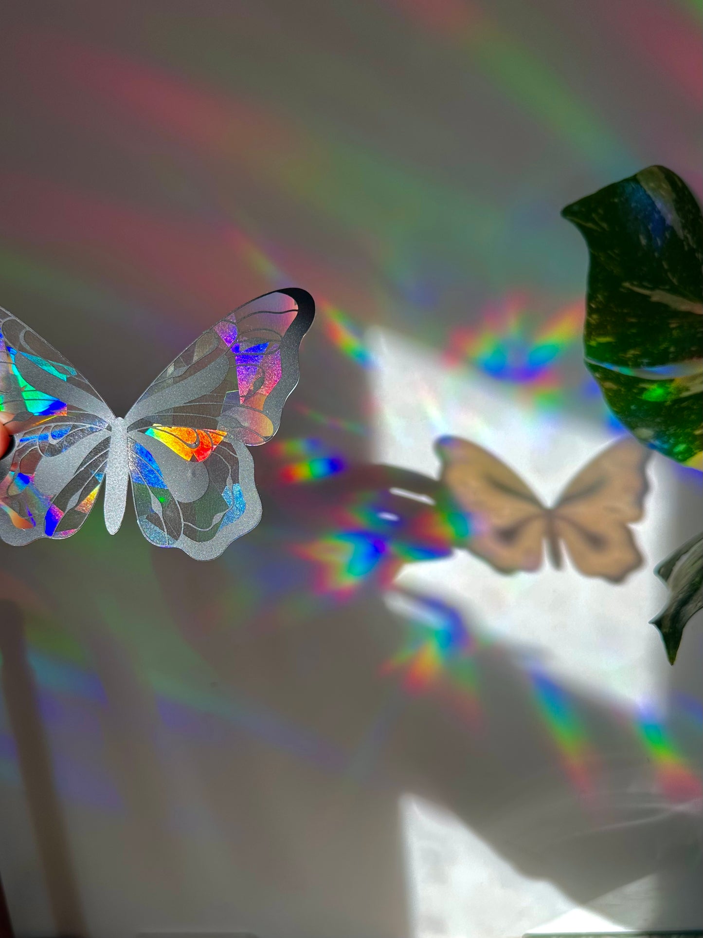 Whimsy Butterfly Rainbow Cling