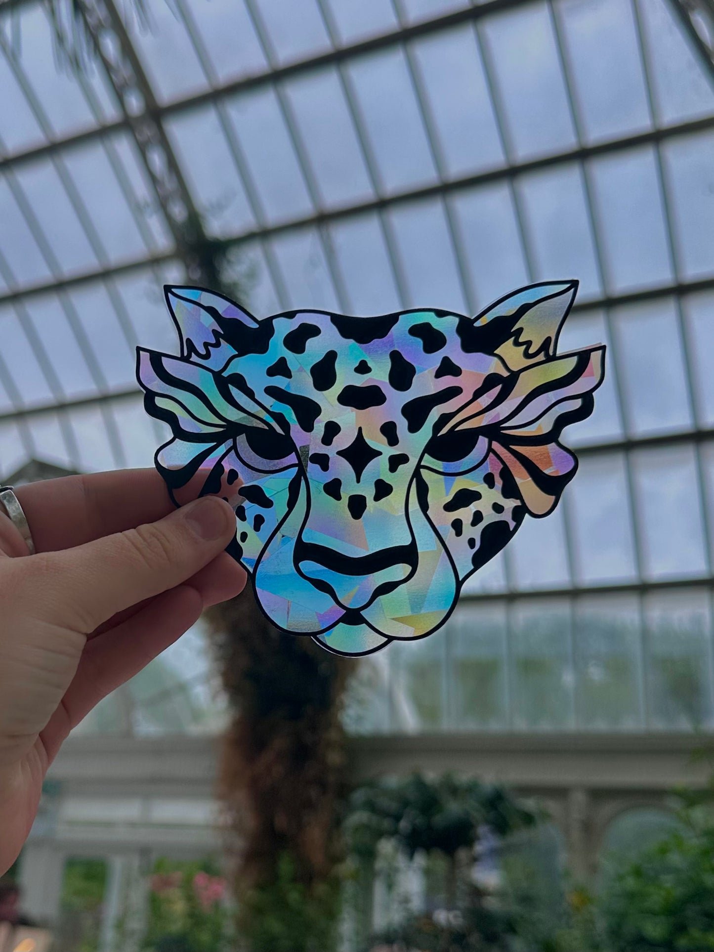 Shape Shifter Rainbow Cling