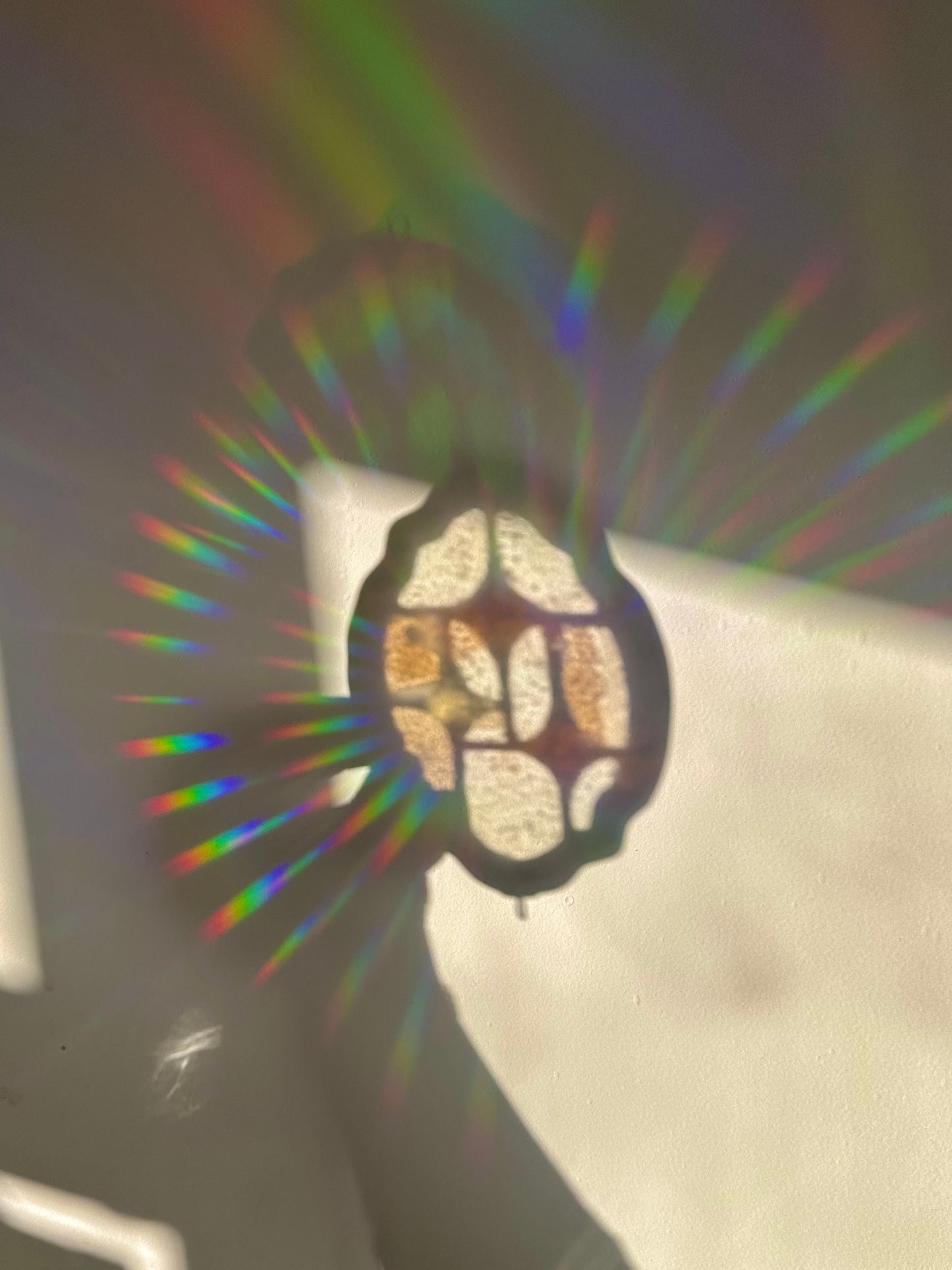 Celestial Rainbow Stars