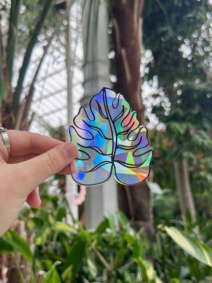 Monstera Rainbow Rainbow Cling