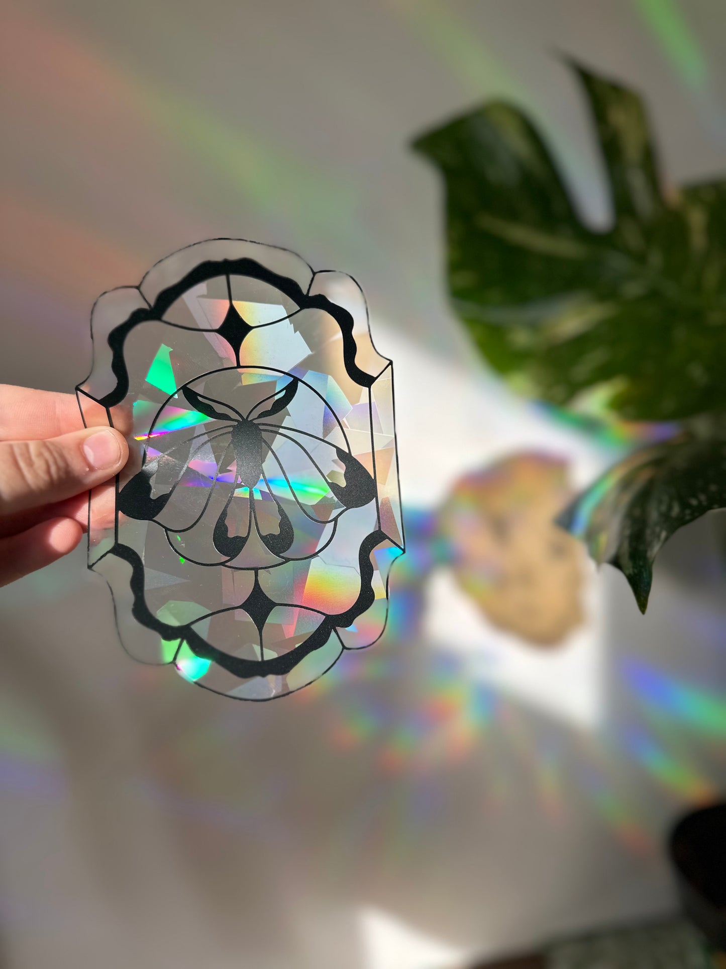 Moth Panel Rainbow Cling