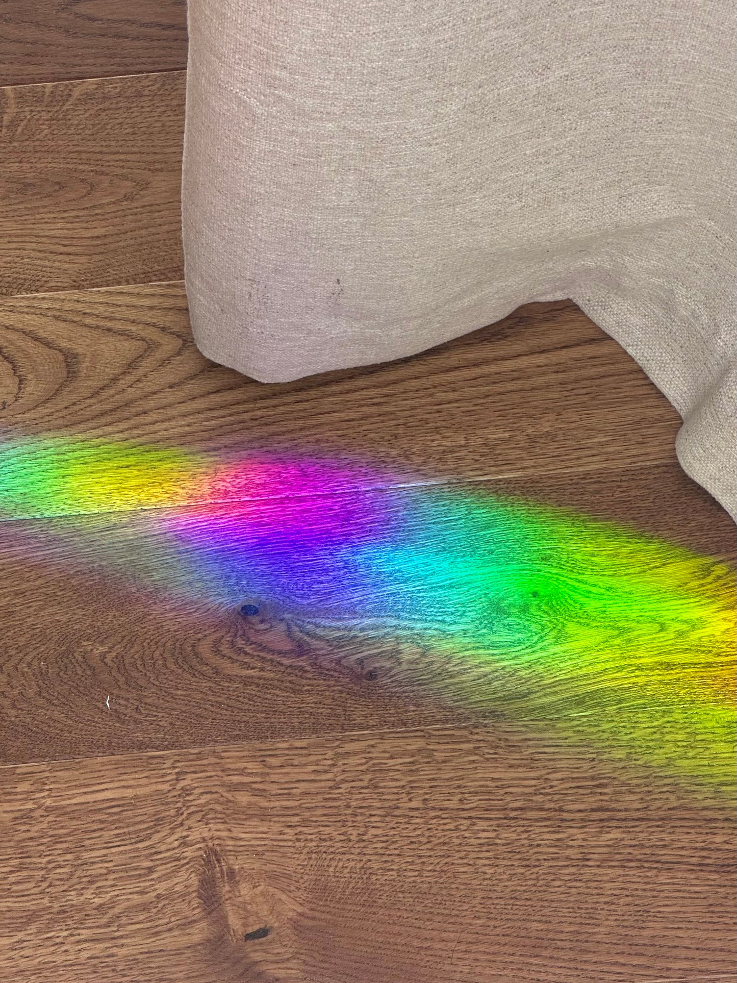 Rainbow Fairy Dragon (Discounted)