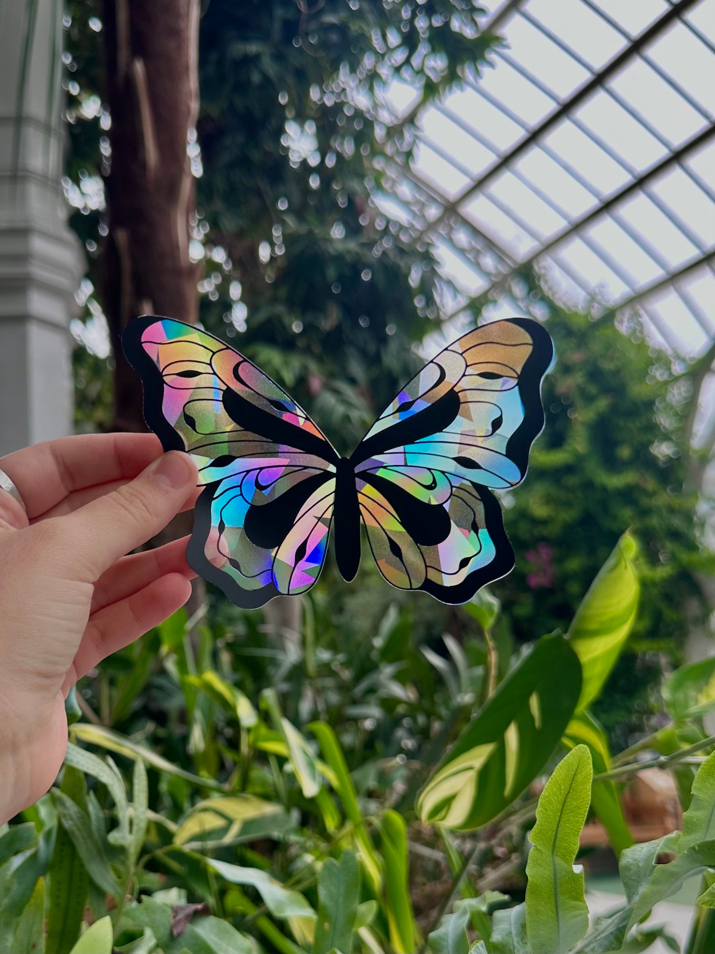 Whimsy Butterfly Rainbow Cling