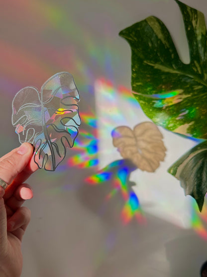 Monstera Rainbow Rainbow Cling