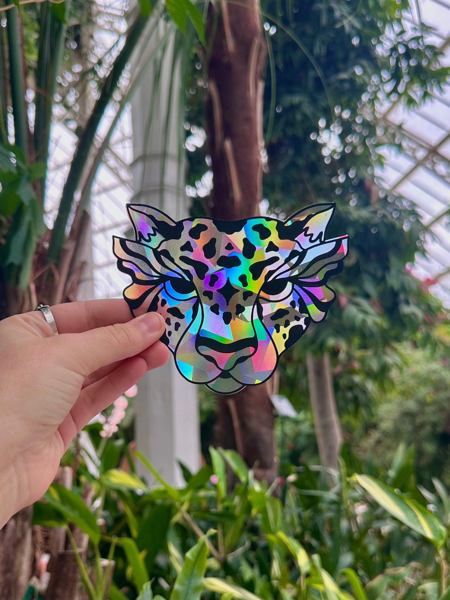 Shape Shifter Rainbow Cling