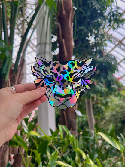 Shape Shifter Rainbow Cling