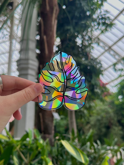 Monstera Rainbow Rainbow Cling
