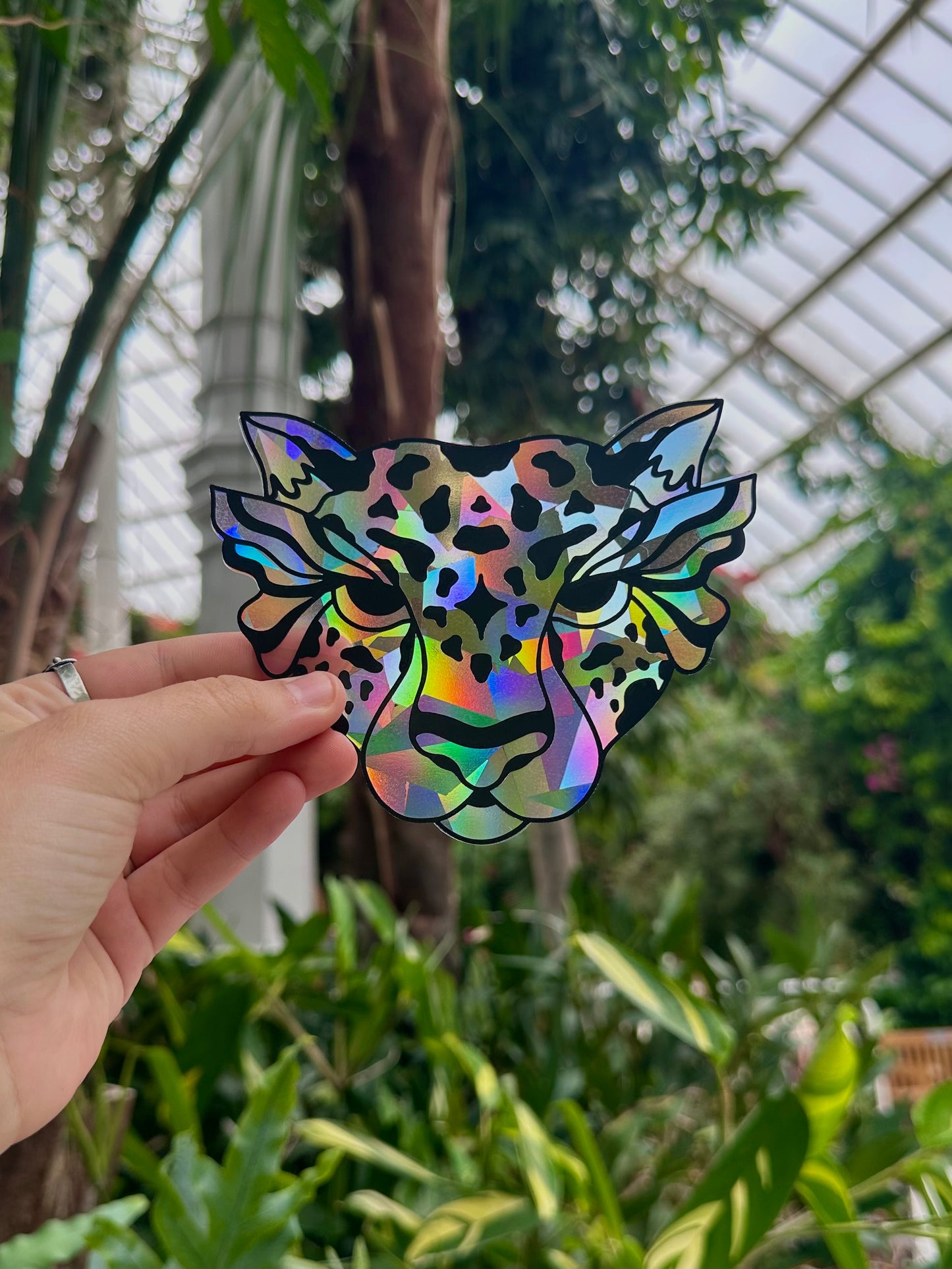 Shape Shifter Rainbow Cling