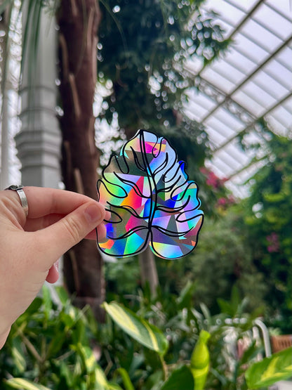 Monstera Rainbow Rainbow Cling