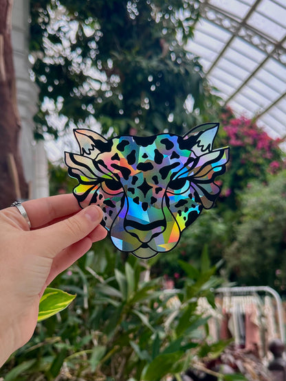 Shape Shifter Rainbow Cling
