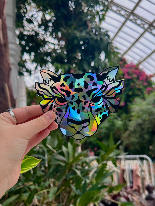 Shape Shifter Rainbow Cling