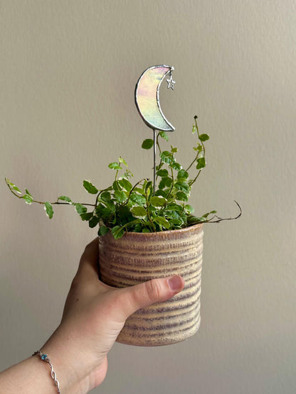 White Iridescent Crescent Moon Plant Stake